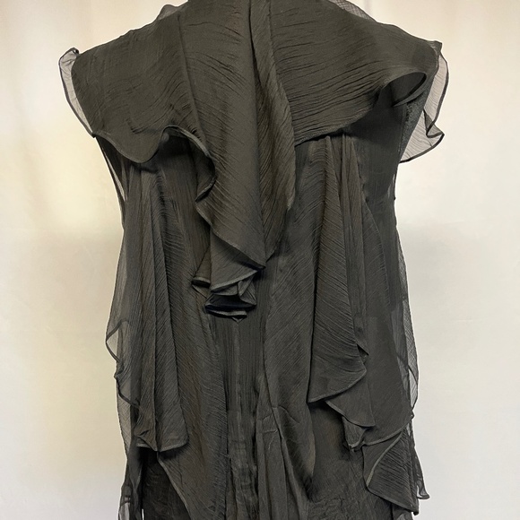 Stunning Alexander McQueen Chiffon Top - Picture 6 of 9
